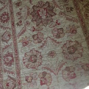 Meet your Posher, Trevor